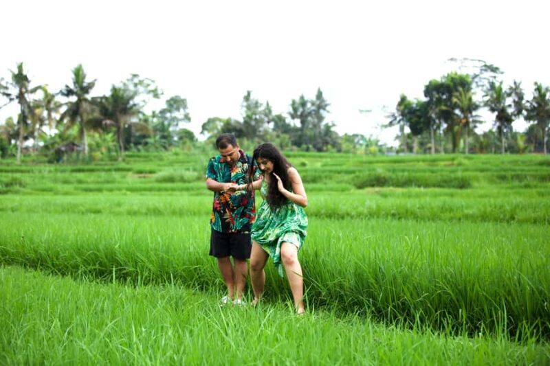 Bali Luxuries Tour Around Ubud - Overview of the Bali Luxuries Tour Around Ubud