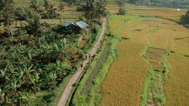 Bali Made Escape Full-Day Private Trekking Tour - The route at a glance