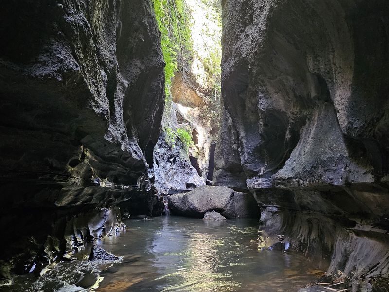Bali Made Escape Full-Day Private Trekking Tour - A 7 a.m. start into Bali’s countryside