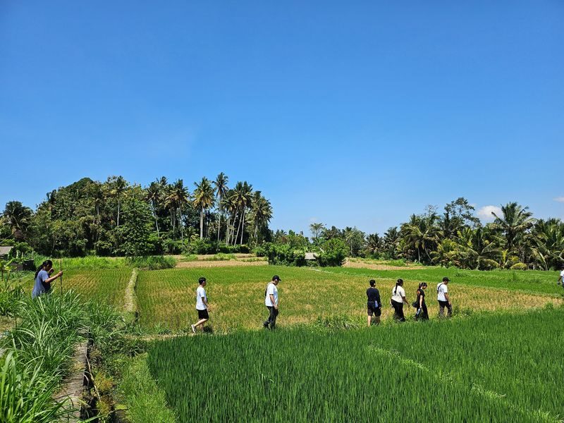 Bali Made Escape Full-Day Private Trekking Tour - What the private tour includes, and what it does not