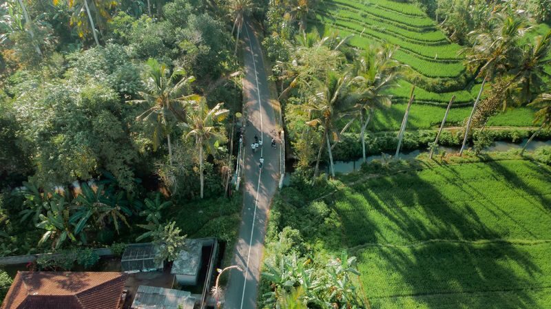 Bali Made Escape Full-Day Private Trekking Tour - Who will enjoy this walk most