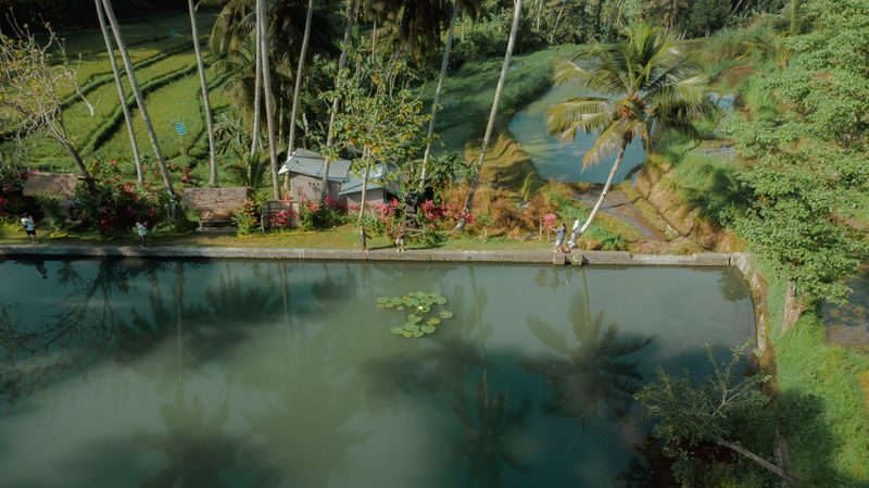 Bali Made Escape Full-Day Private Trekking Tour - What to bring and how to prepare