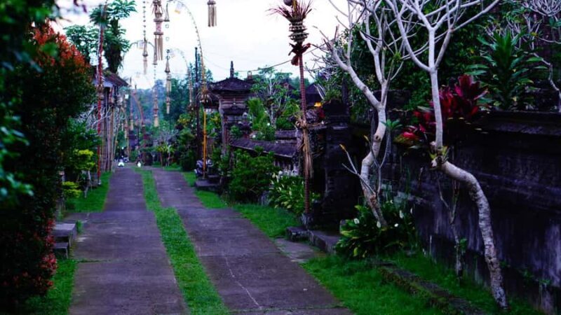 Bali: Magical Night Firefly Tour with Culture Insight - Who Should Consider This Tour?