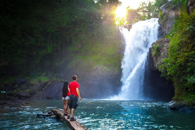 Bali Majestic Waterfall Tour - Tour Highlights
