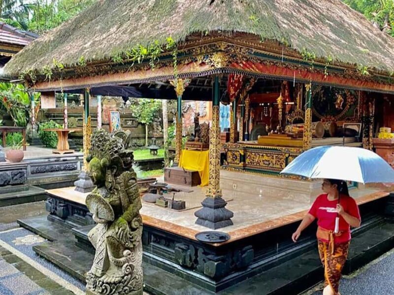 Bali: Making Canang, Sanskrit Lesson & Farming Village Tour - Who Should Consider This Tour?