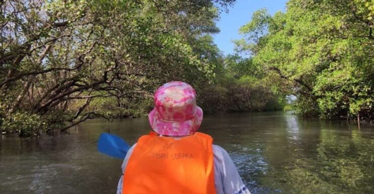 Bali: Mangrove Water Canoe With Toll and Airplane View - Good To Know