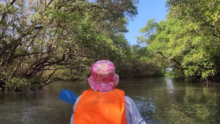 Bali: Mangrove Water Canoe With Toll and Airplane View - Experience Highlights