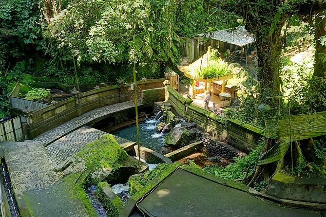 Bali Mantra Soul Retreat Cleansing - Pricing and Reviews