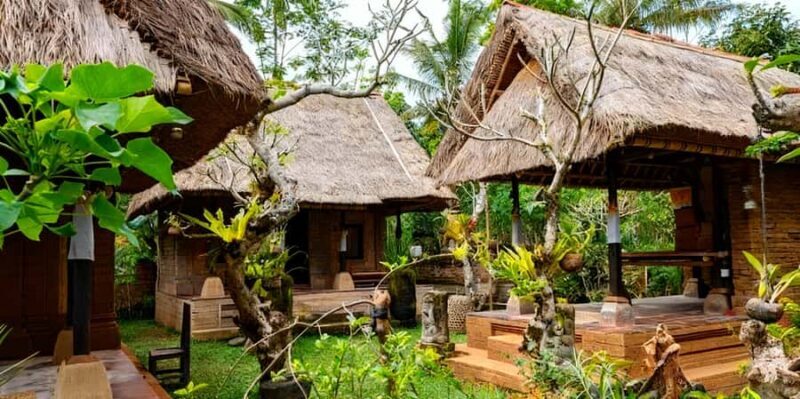 Bali: Manukaya Home of Tirta Tample, Rice Fields and Coffee - Who Is This Tour Best Suited For?  