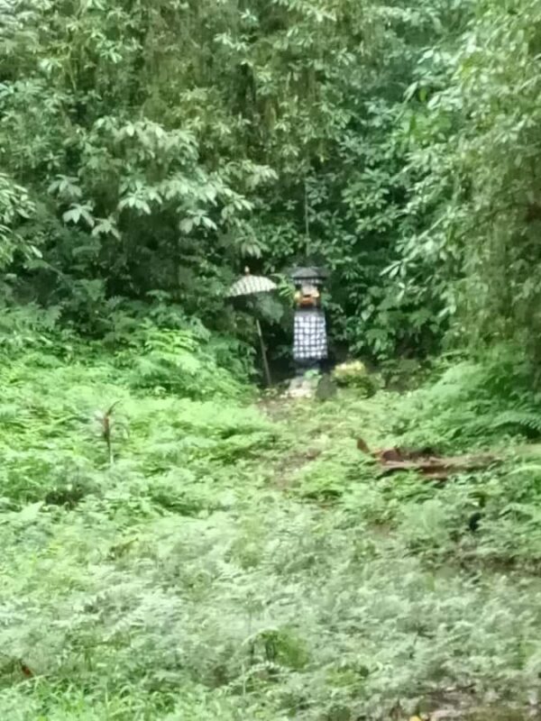 Bali: Mayong Village Trekking Tour - Good To Know