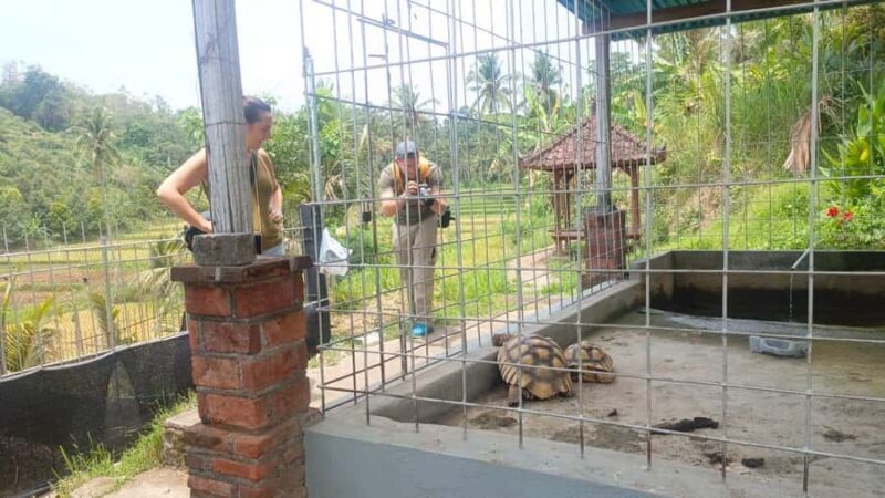 Bali: Mayong Village Trekking Tour - FAQ