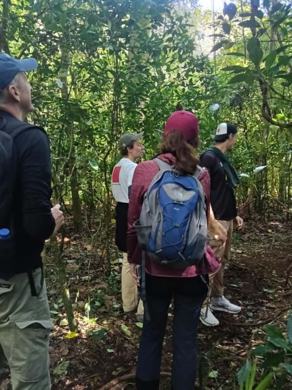 Bali: Mayong Village Trekking Tour - Why Choose the Bali: Mayong Village Trekking Tour?