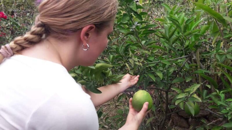 Bali: Mayong Village Trekking Tour - The Trek Itself