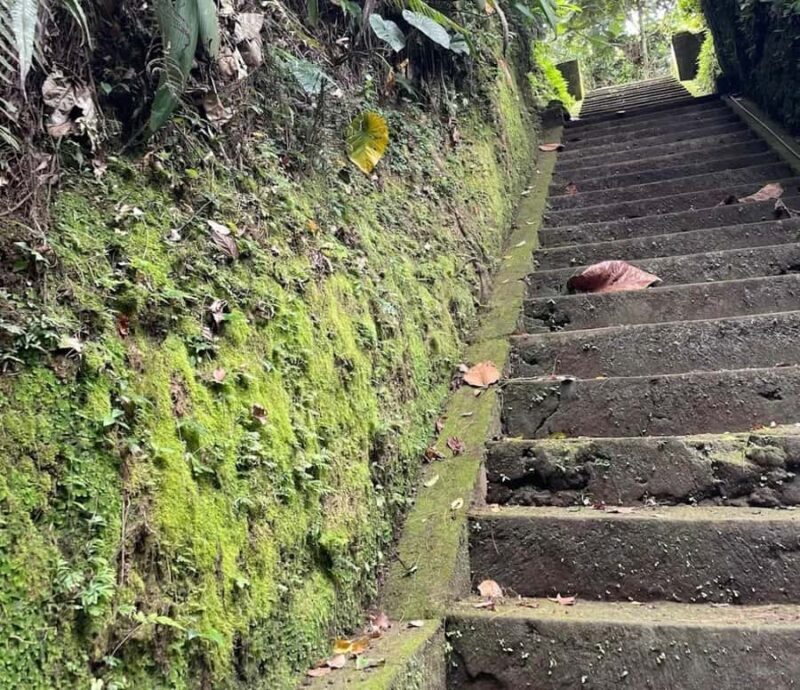 Bali: Melukat Spiritual Healing Experience - Good To Know