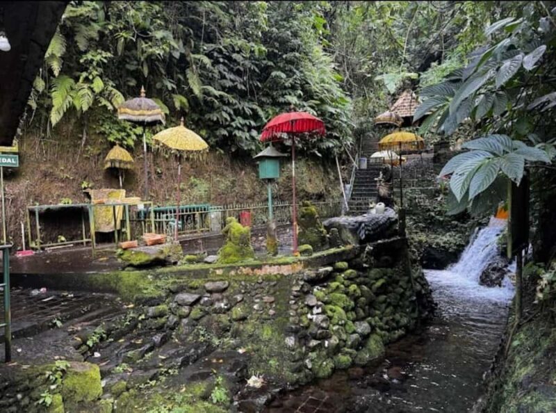Bali: Melukat Spiritual Healing Experience - What You Can Expect During the Experience
