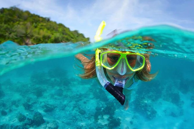 Bali Menjangan Island Snorkeling Day Tour - Tour Overview