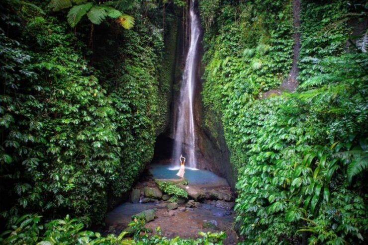 Bali: Monkey Forest, Leke-Leke Waterfall, Unesco Heritage - Good To Know