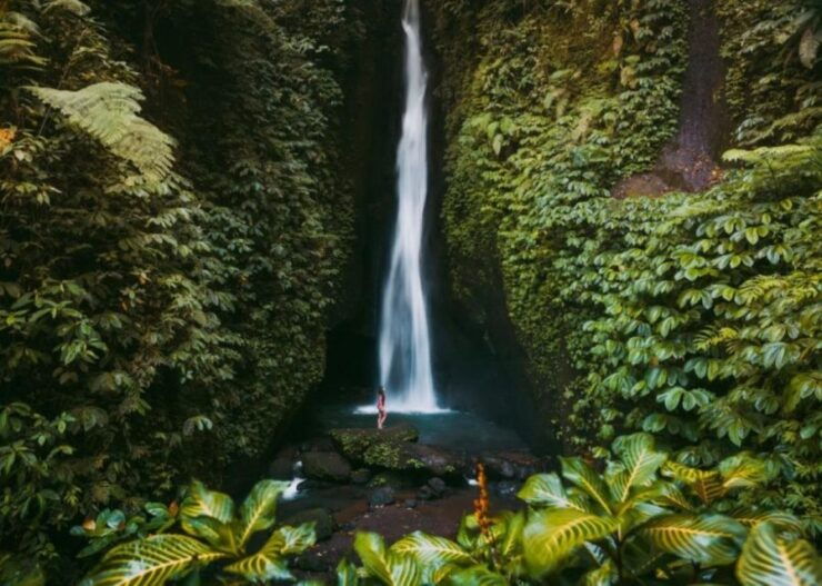 Bali: Monkey Forest, Leke-Leke Waterfall, Unesco Heritage - Duration and Booking Information