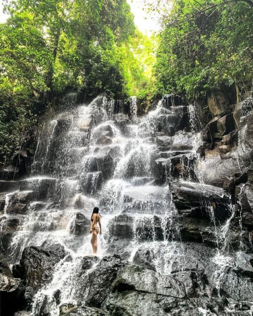 Bali: Monkey Forest, Rice Terrace & Local Night Market Tour - Tour Highlights