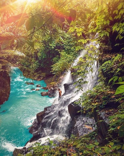 Bali: Monkey Forest, Rice Terrace & Local Night Market Tour - Booking Flexibility and Cancellation Policy