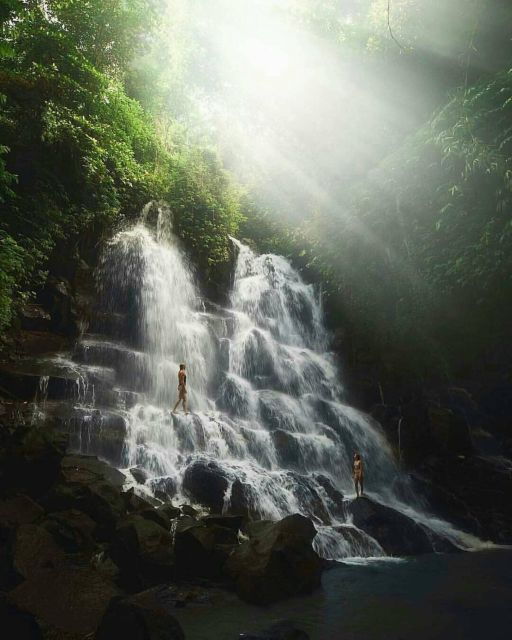 Bali: Monkey Forest, Rice Terrace & Local Night Market Tour - Tour Duration and Logistics