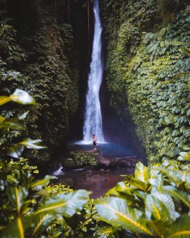 Bali: Monkey Forest Sangeh ,Temple & Waterfall- Private Tour - A Trusted Guide to Bali’s High-lands: What to Expect From This Tour