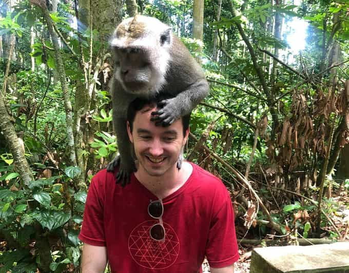 Bali: Monkey Forest, Waterfalls, Rice Terracep, and Coffee … - Monkey Forest Experience