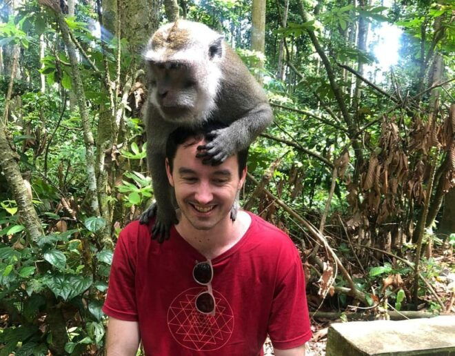 Bali: Monkey Forest, Waterfalls, Rice Terracep, and Coffee … - Tegalalang Rice Terraces