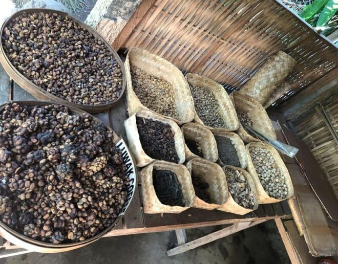 Bali: Monkey Forest, Waterfalls, Rice Terracep, and Coffee … - Luwak Coffee Tasting