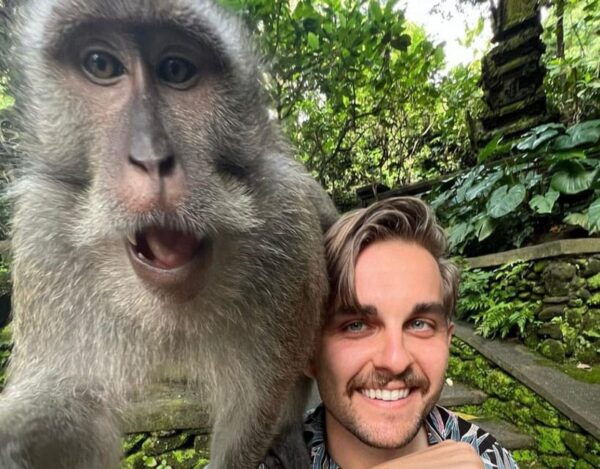 Bali: Monkey Forest, Waterfalls, Rice Terracep, and Coffee … - Inclusions of the Tour