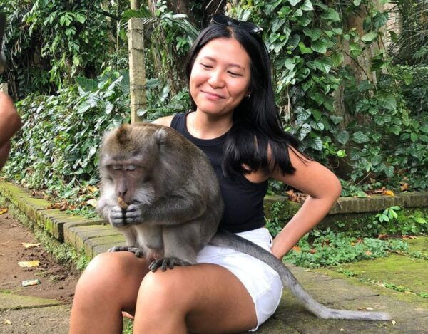 Bali: Monkey Forest, Waterfalls, Rice Terracep, and Coffee … - Important Information
