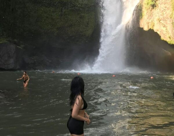 Bali: Monkey Forest, Waterfalls, Rice Terracep, and Coffee … - Customer Feedback