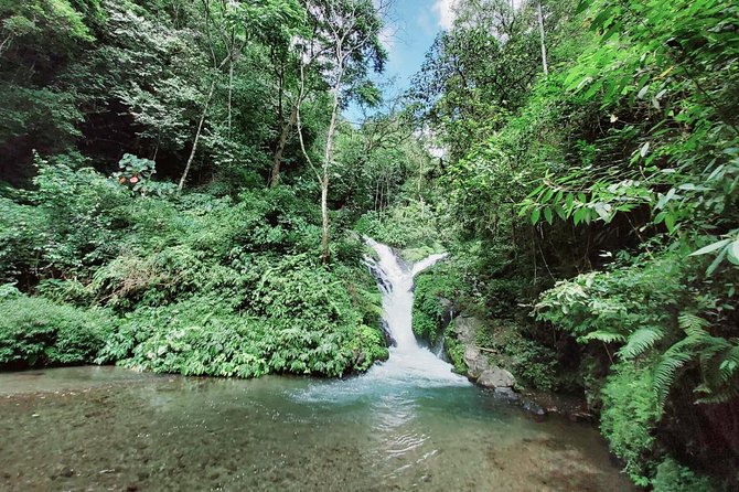 Bali Most Scenic Waterfalls Trekking - Best Time to Visit