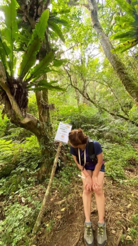 Bali: Mount Adeng Guided Hike with Temple Visit - Good To Know