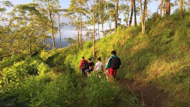 Bali: Mount Batur Caldera Trek, Lake Boat & Coffee Tour - Who will love this tour?