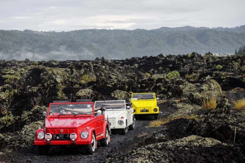 Bali/Mount Batur: Classic VW Volcano Safari & Hot Spring - The Tour Experience: What to Expect