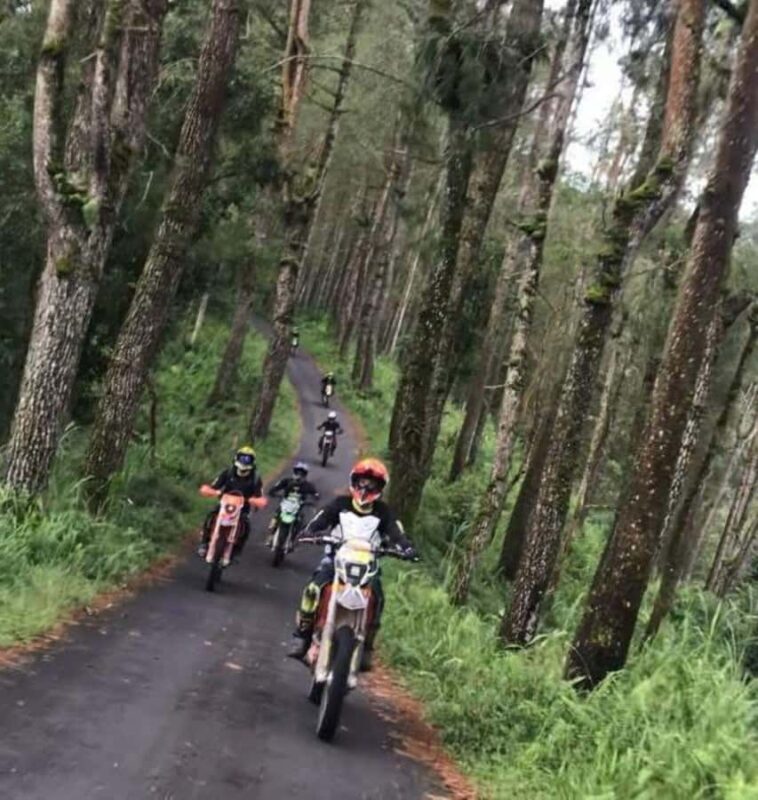 Bali: Mount Batur Full Day Dirt Bike Tours - Is It Worth the Price?
