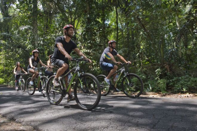 Bali: Mount Batur Mountain Biking Adventure With Lunch - Reviews
