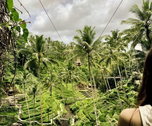 Bali: Mount Batur Sunrise Jeep Adventure With Jungle Swing - The Sum Up