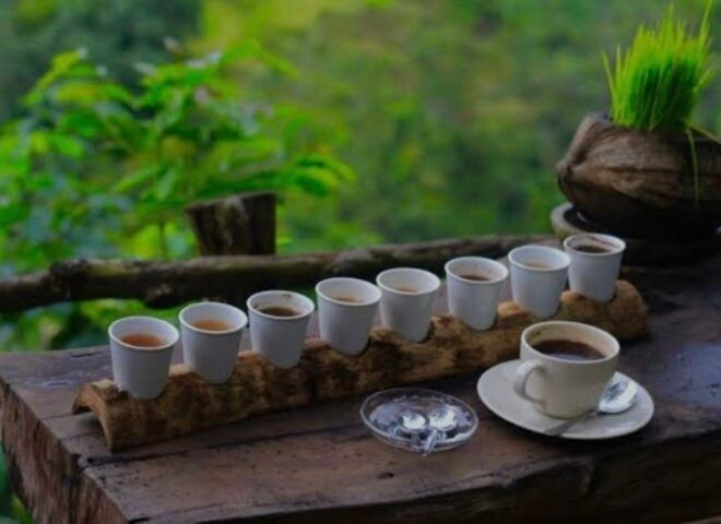 Bali : Mount Batur Sunrise Jeep Tour With Hotspring - Logistics and Meeting Points