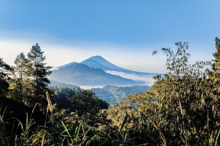 Bali: Mount Batur Sunrise Trek With Guide and Breakfast - Experienced and Friendly Live Tour Guide