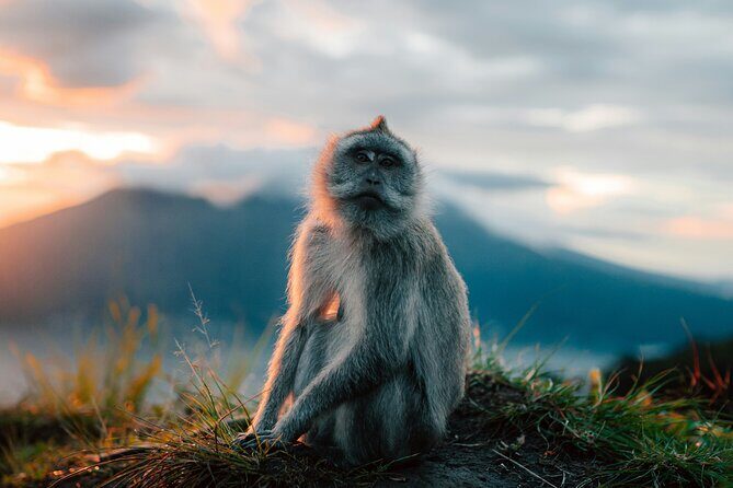 Bali Mount Batur Sunrise Trekking - Private and All Inclusive - Practical Details and Considerations