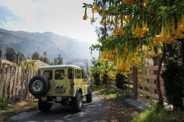 Bali: Mount Bromo and Kawah Ijen 3-Day Volcanic Trip - Customer Reviews and Additional Information