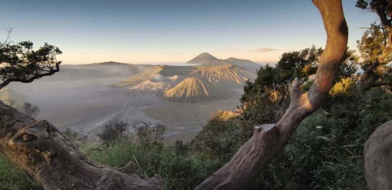 Bali: Mount Bromo Sunrise Tour with Transfer Options - What to Expect from the Mount Bromo Sunrise Tour
