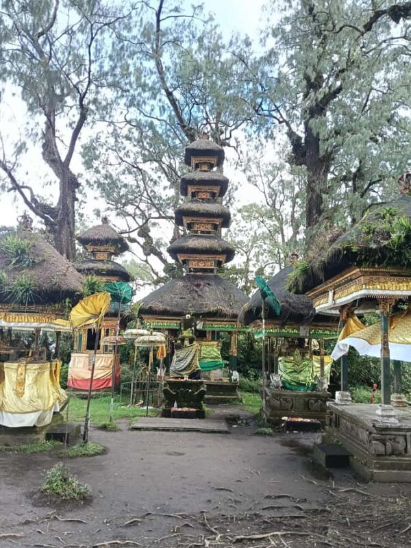 Bali: Mount Catur Trek from Pelaga and finish at Bedugul - What to Expect from the Tour