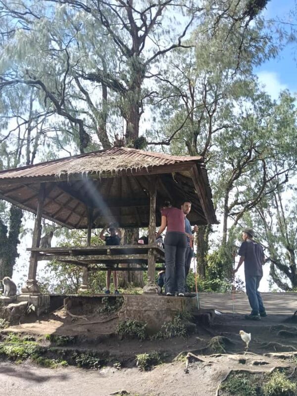 Bali: Mount Catur Trek from Pelaga and finish at Bedugul - Practical Tips for the Trek