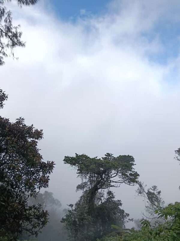 Bali: Mount Catur Trek from Pelaga and finish at Bedugul - Final Thoughts