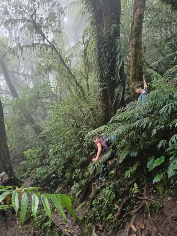 Bali: Mount Catur Trek from Pelaga and finish at Bedugul - FAQs