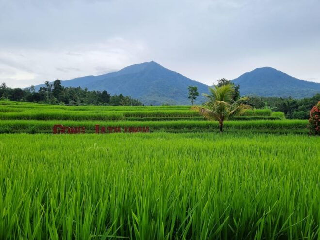 Bali: Multi-Day Customizable Private Tour With Driver-Guide - Pickup and Drop-off Locations