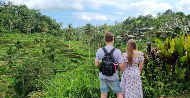 Bali: Multi-Day Customizable Private Tour With Driver-Guide - Exclusions and Limitations